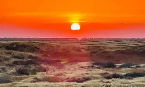 חתונה בחווה בדרום