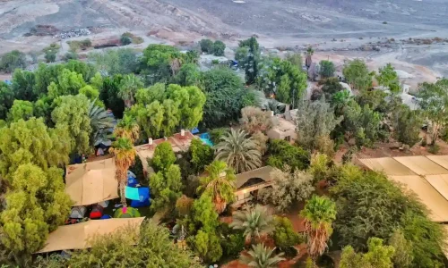 מסיבת טבע במדבר