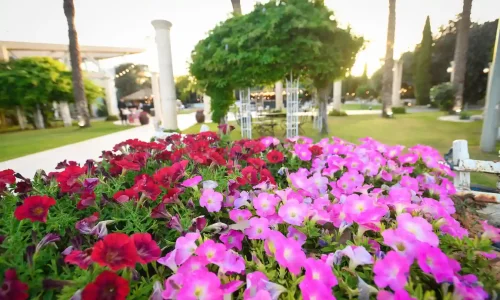 ארועי חברה גדולים ליד נתניה