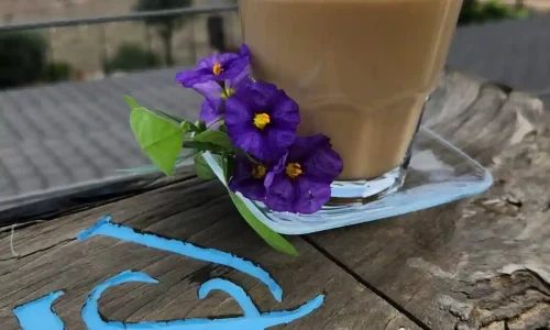 אירוע בשרון עם נוף