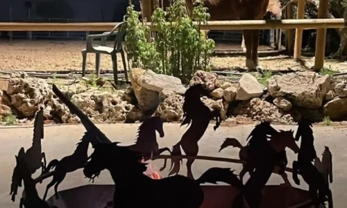 אירועים משפחתיים במסעדה בשרית