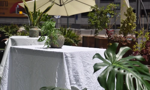 אירועים קטנים במרכז