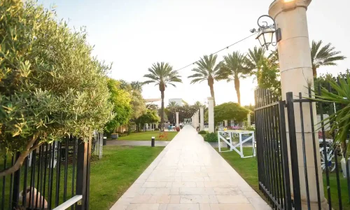 חופה תחת כיפת השמיים