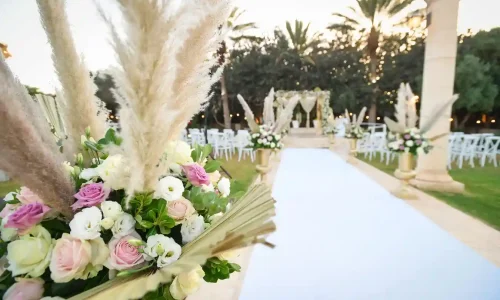 חתונות בשרון