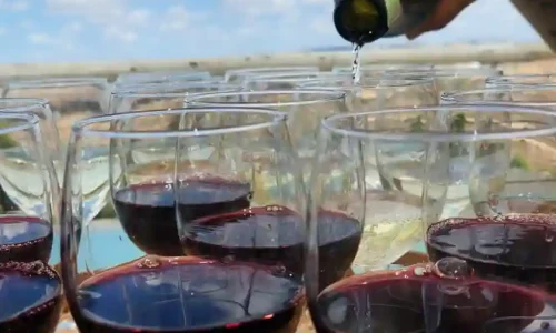 כנסים עסקיים בשרון