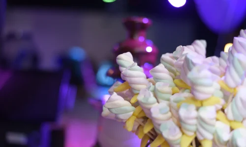 מסיבה לילדים ברעננה