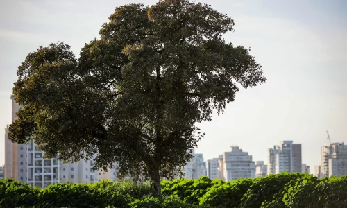 אירוע אקולוגי בהוד השרון