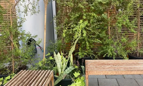 אירועים בעמק חפר