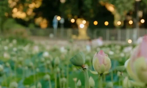 אירועים משפחתיים בירושלים