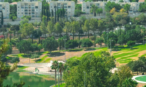 ארוחה עסקית במודיעין