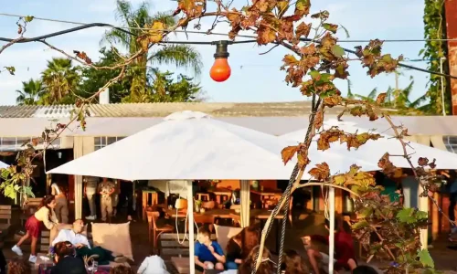 בר מצווה בשרון