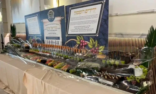 בר מצווה כשר