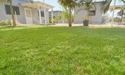 ברית ליד עפולה