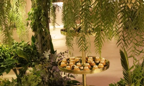 בת מצווה עד 500 אורחים