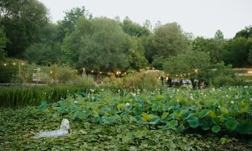 גן ואולם אירועים קסום בירושלים