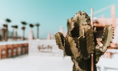 מסיבת חברה בים