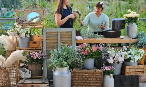 מסיבת יום במרכז