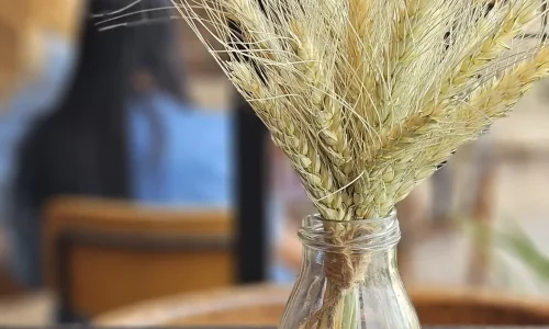 מקום להרצאה ליד כפר סבא