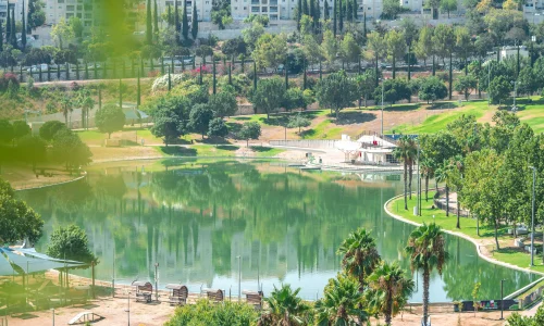 ערב חברה במסעדה כשרה