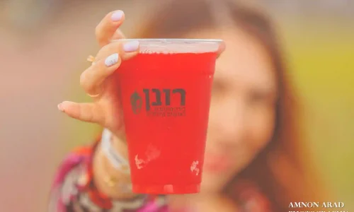 ערב חברה עם אלכולהול בשפלה