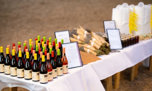 אירועי חברה בטבע