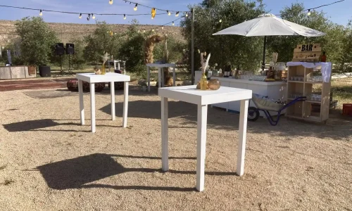 אירועי ענק במצפה רמון