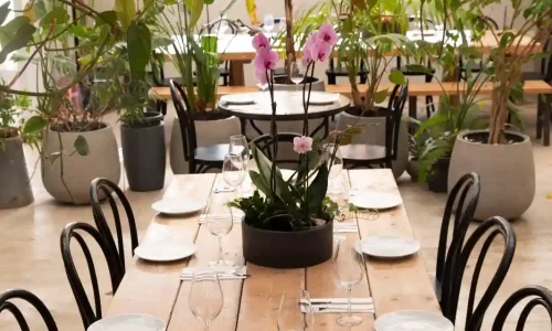 אירועים משפחתיים במסעדה חלבית