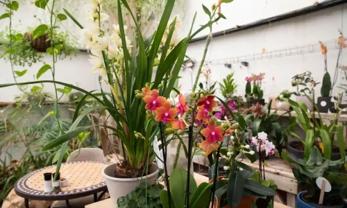 אירועים עד 70 איש במסעדה כשרה