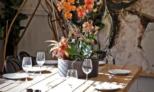 אירועים פרטיים בחממת הסחלבים