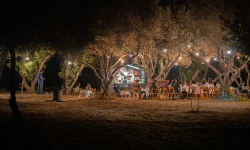 בר מצווה ביער