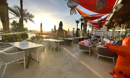 בת מצווה עד 300 איש