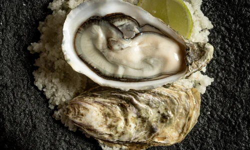 הצעת נישואין בתל אביב