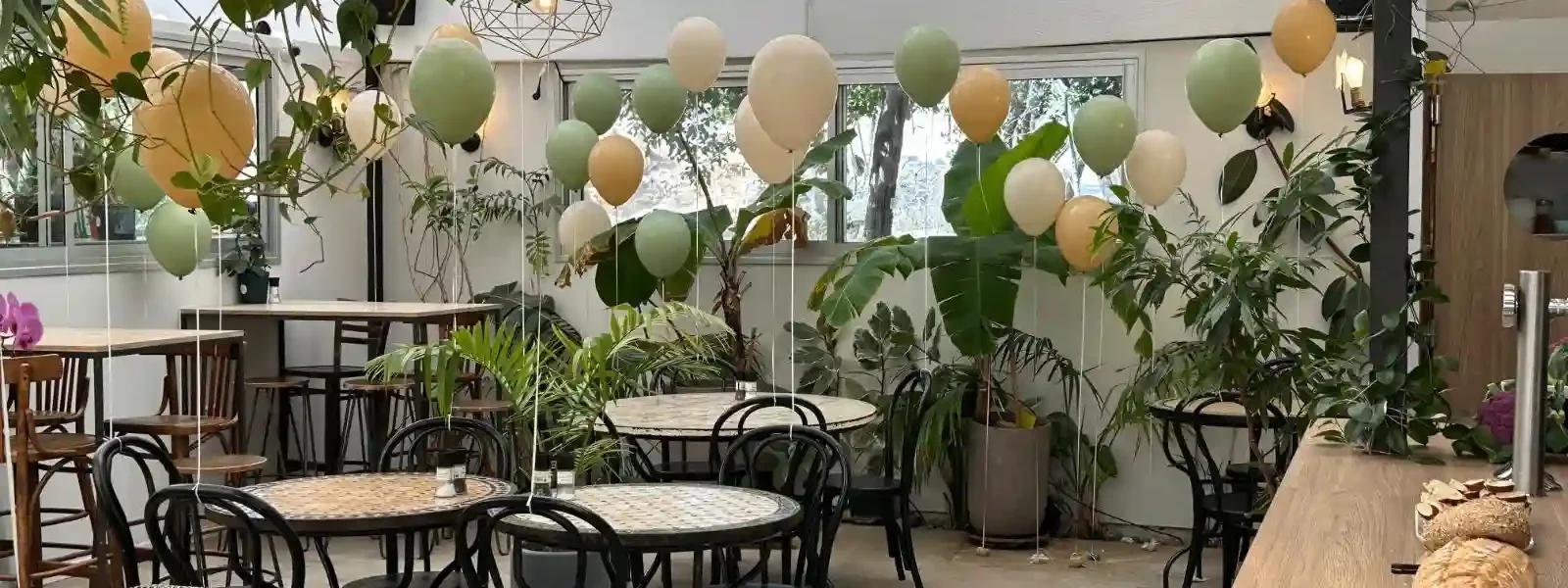 חממת הסחלבים