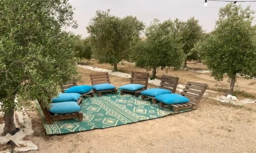 מסיבת טבע במצפה רמון