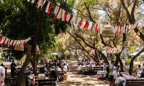 סדנאות בטבע