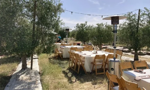 קמפינג במצפה רמון