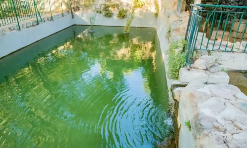 אירועים מיוחדים בירושלים