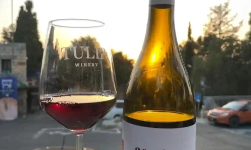 בר מצווה במסעדה ליד חיפה