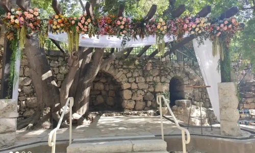 חתונה בטבע במרכז