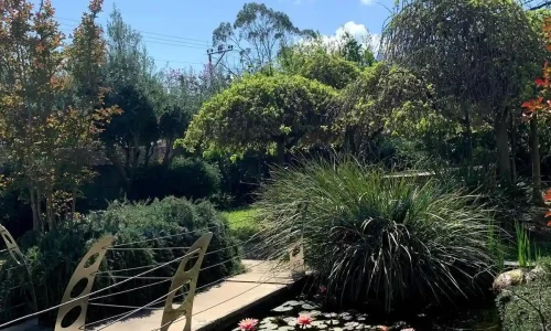 ימי גיבוש לעובדים