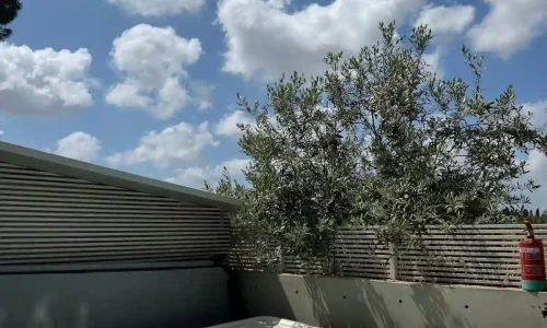 סדנת יוגה לאירועי בוטיק