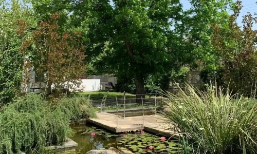 סדנת יוגה לעובדים