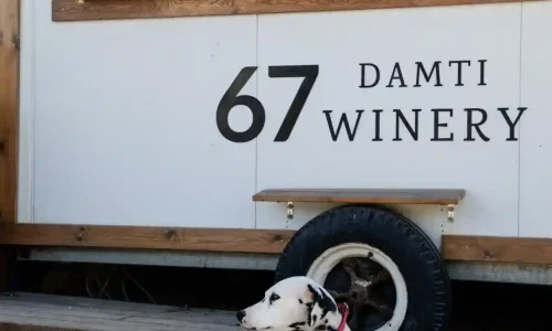 אירוע ביקב במרכז