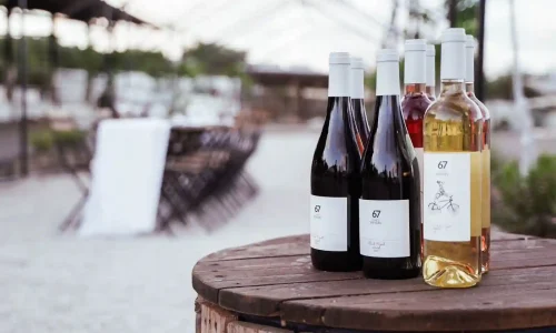 אירוע חברה ביקב עד 100 איש יקב דמתי