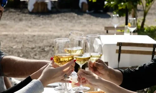 בר מצווה ביקב