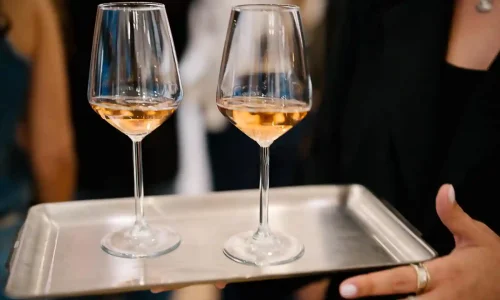 גלריה להרצאות