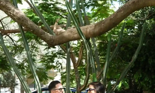 וילה לצילומי בוטיק