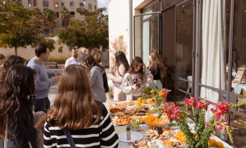 חלל לריקוד ביפו