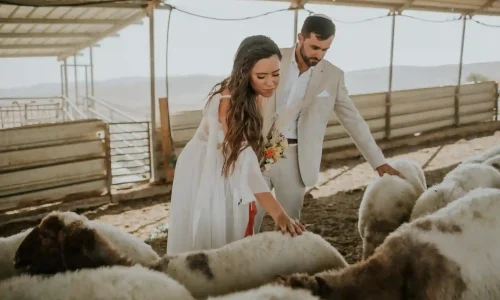 חתונה בטבע עד 600 איש