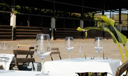 ערב חברה ביקב במרכז